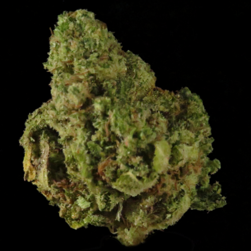Acapulco Gold by Cosmic Treehouse
